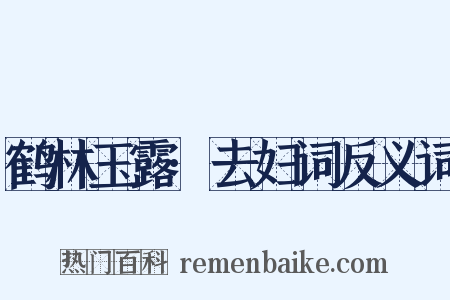 鹤林玉露·去妇词反义词是什么意思的图片